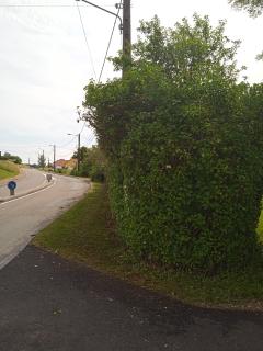 Service : entretien espace vert Service : entretien espace vert