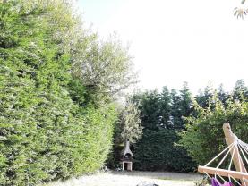 Service : taille de haies Service : taille de haies