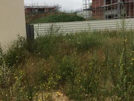 Service : debroussaillage Service : debroussaillage