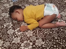 Location : jardin Location : jardin