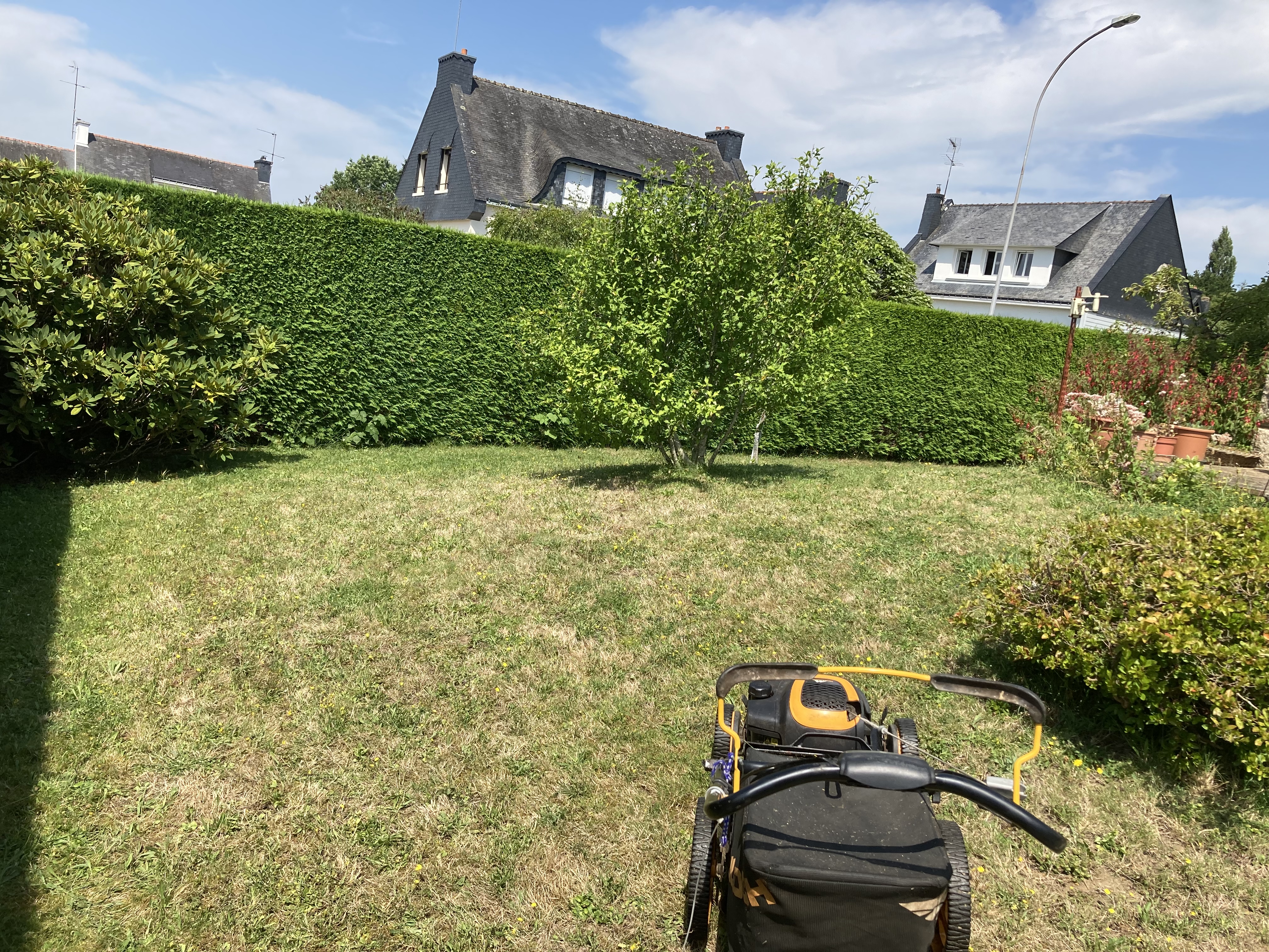 Service tonte de pelouse 56 entre particuliers