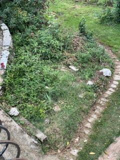 Service : debroussaillage Service : debroussaillage