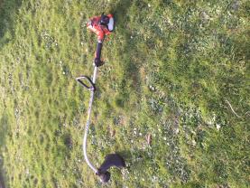 Location : debroussailleuse Location : debroussailleuse