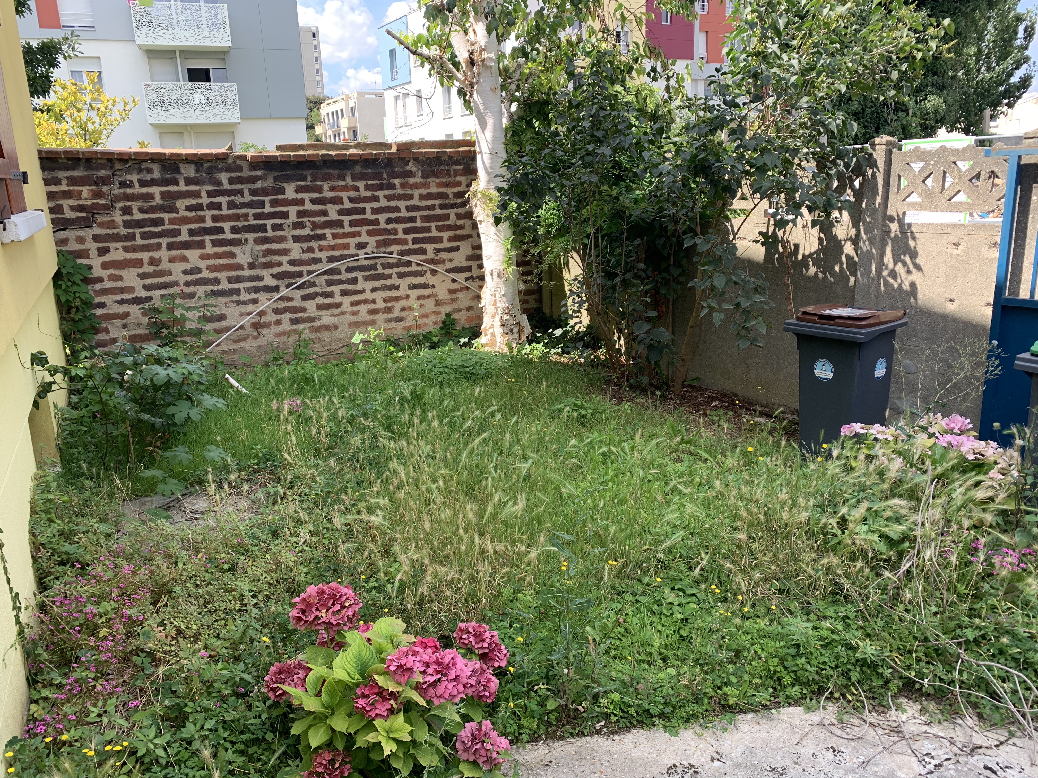 Service tonte de pelouse 94 entre particuliers