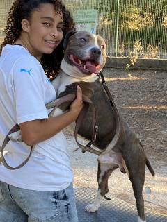 Service : chien Service : chien