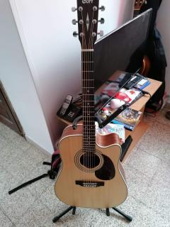 Louer la guitare