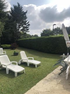 Service : taille de haies Service : taille de haies