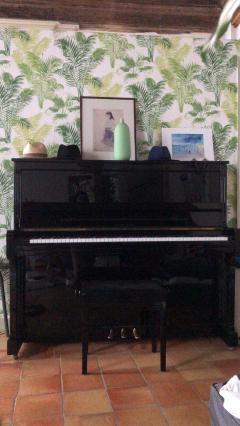 Location piano entre particuliers