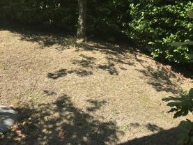 Location : motoculteur Location : motoculteur