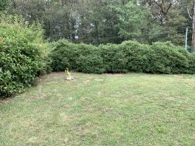 Service : debroussaillage Service : debroussaillage