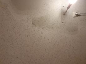 Service : peintre Service : peintre