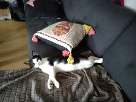 Service : chat Service : chat