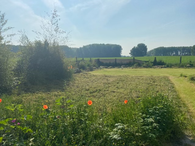 Service amenagement jardin 59 entre particuliers
