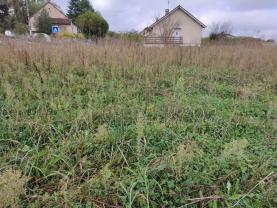 Service : debroussaillage Service : debroussaillage