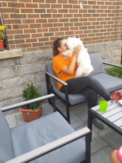 Service : garde animaux Service : garde animaux