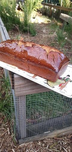 Service : plat seul Service : plat seul