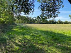 Location : jardin potager Location : jardin potager