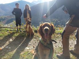 Service : chien Service : chien