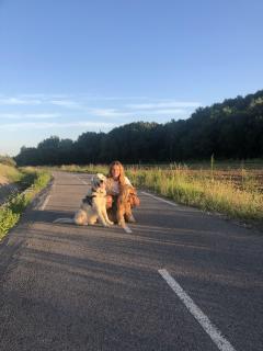 Service : chien Service : chien