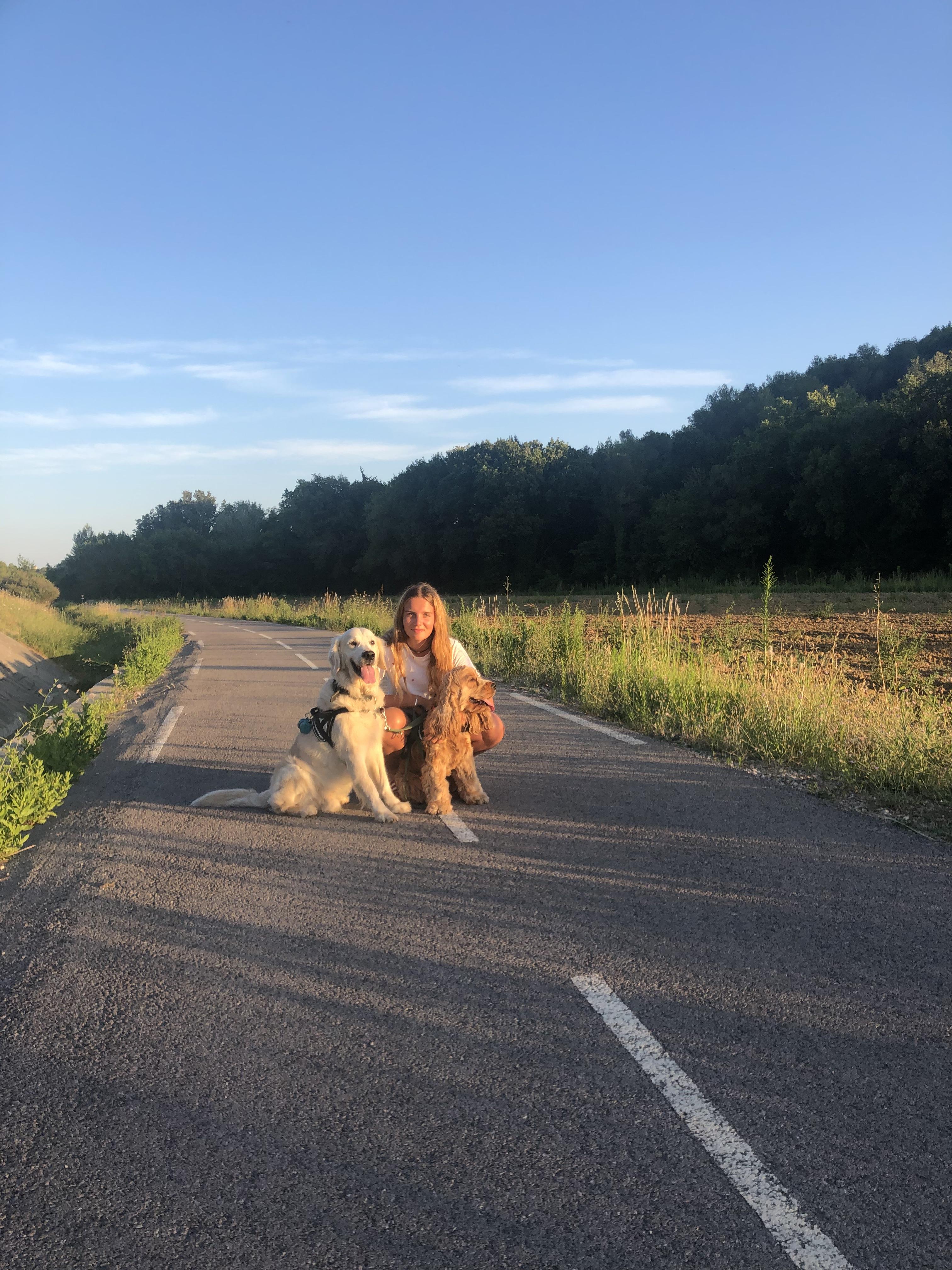 Service chien 34 entre particuliers