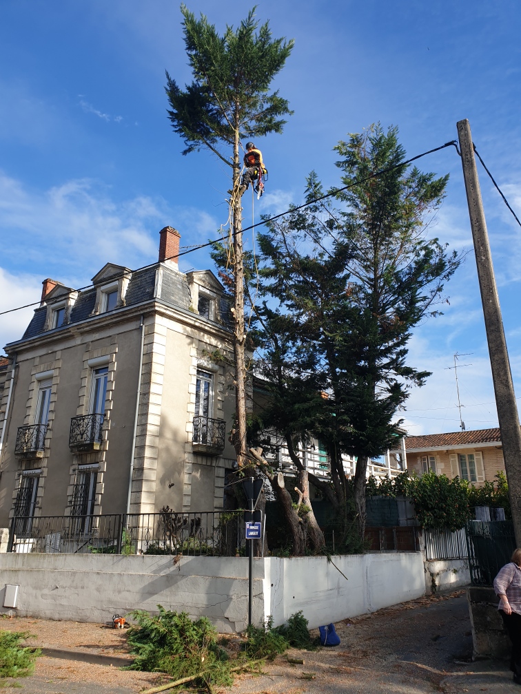 Service elagage 47 entre particuliers