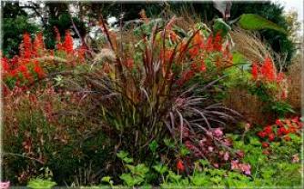 Louer mon jardin