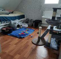 Service : chat Service : chat