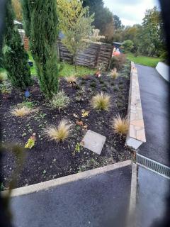 Service : entretien espace vert Service : entretien espace vert