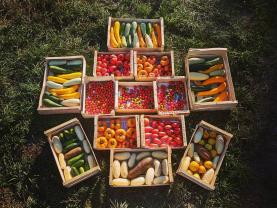 Service : amenagement jardin Service : amenagement jardin