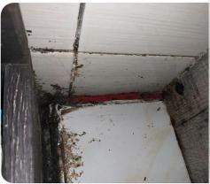 Service : plomberie Service : plomberie