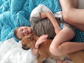 Service : garde animaux Service : garde animaux