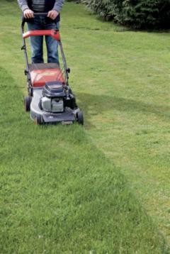 Service : entretien jardin Service : entretien jardin