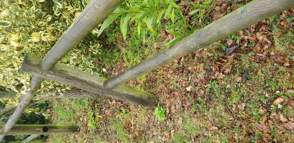 Location : tariere Location : tariere