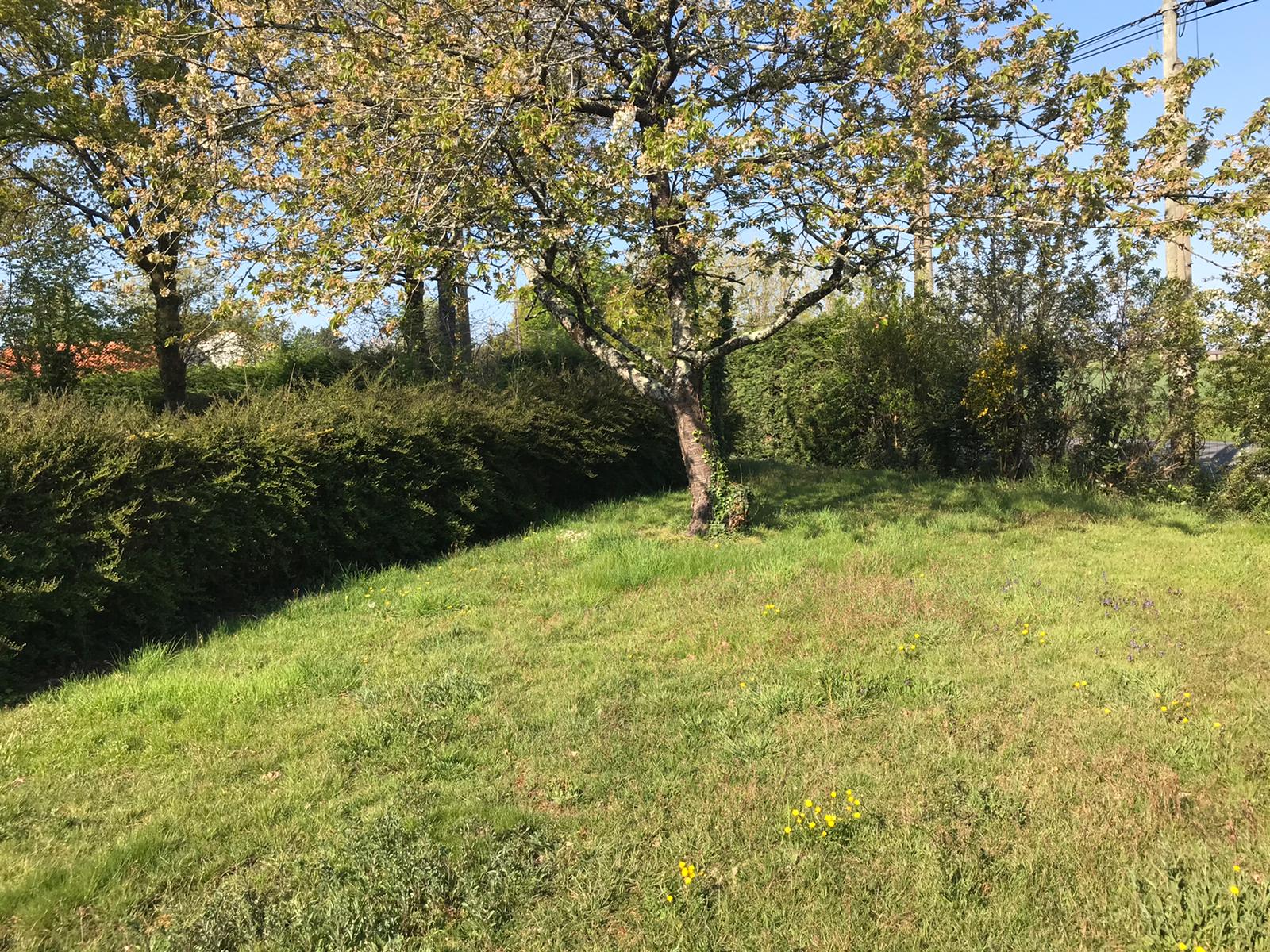 Location minipelle 44 entre particuliers