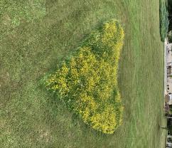 Service : tonte de pelouse Service : tonte de pelouse