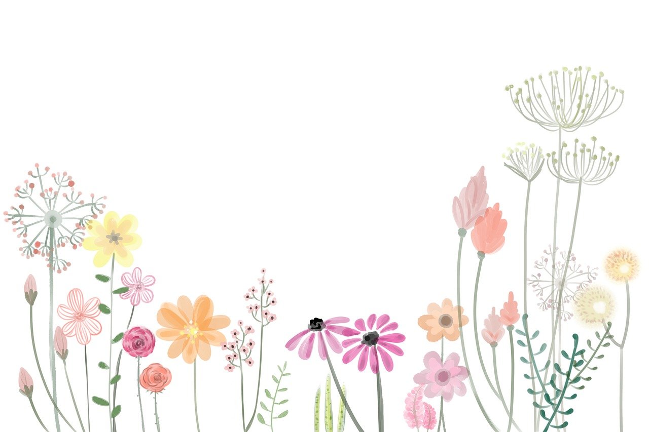 Location jardin potager 66 entre particuliers