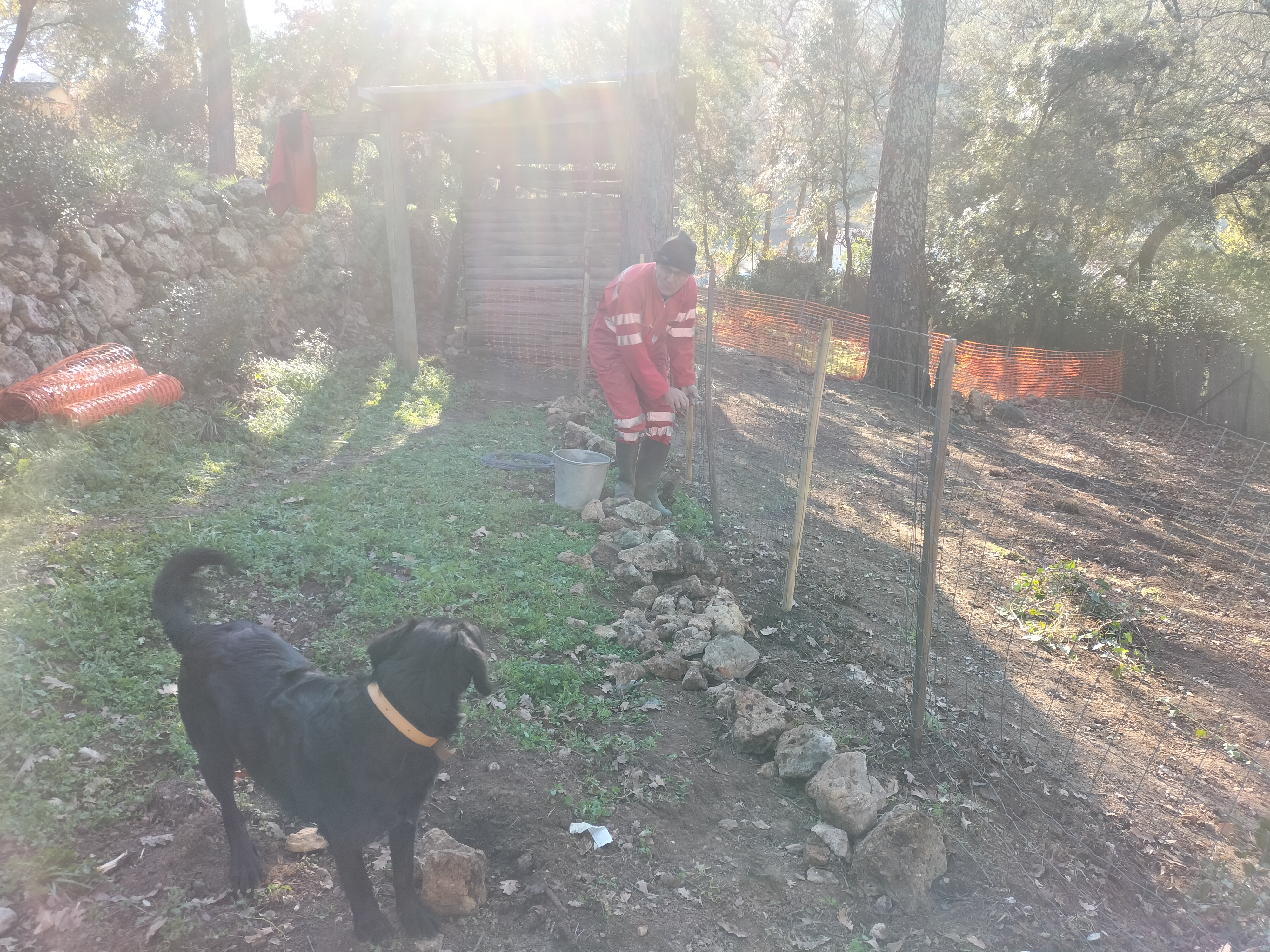 Service chien 83 entre particuliers