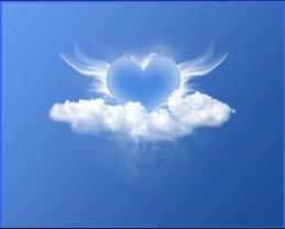 Service : aide menagere Service : aide menagere