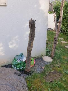 Louer ma tronçonneuse