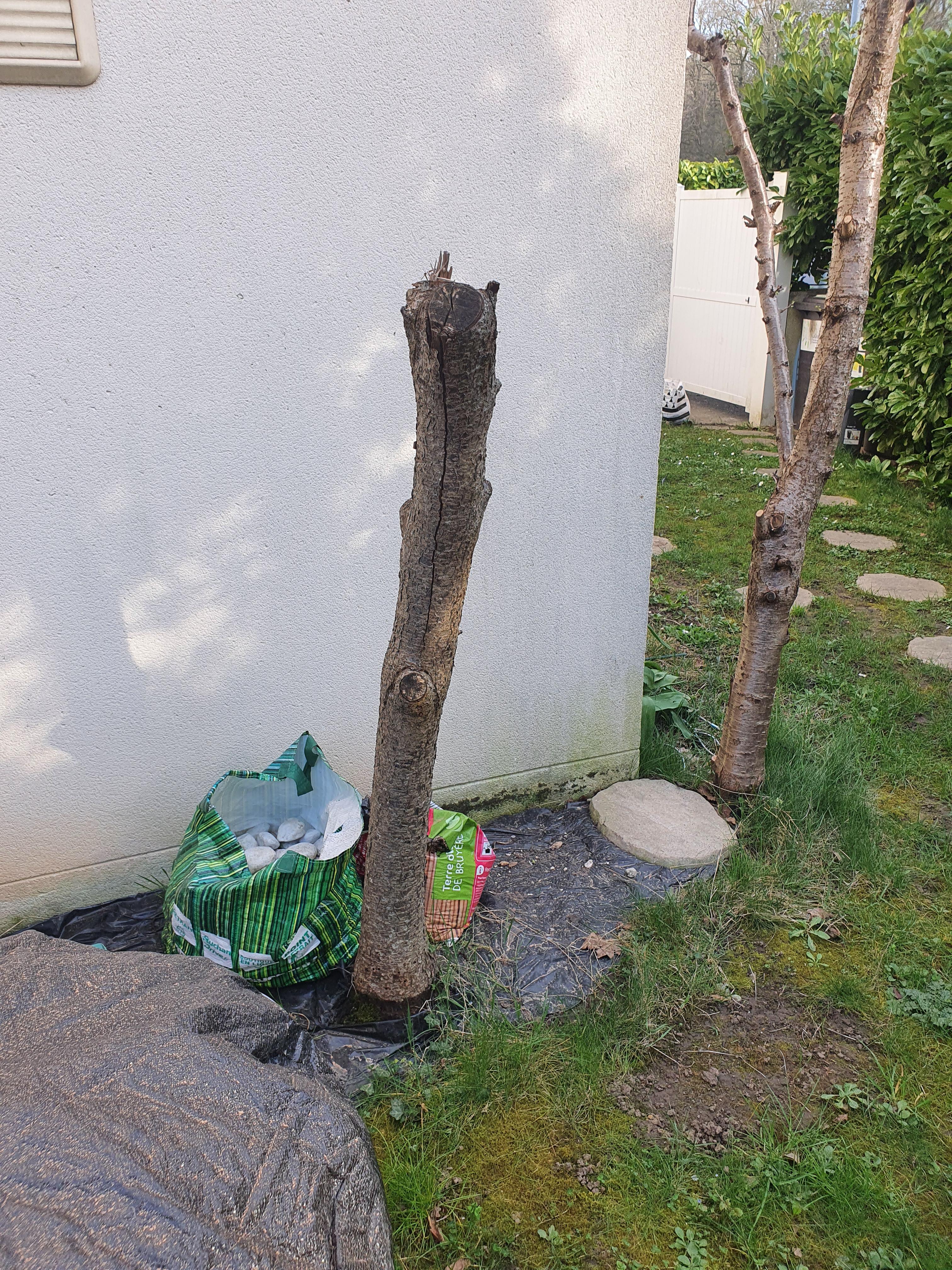 Location tronconneuse 91 entre particuliers