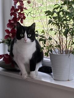 Service : chat Service : chat