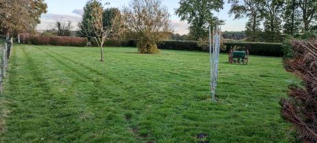 Service : entretien espace vert Service : entretien espace vert