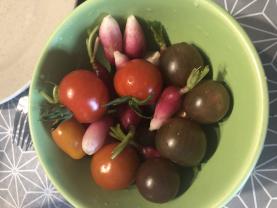 Louer mon jardin