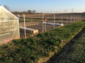 Location : jardin potager Location : jardin potager