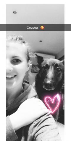 Demander ce petsitter