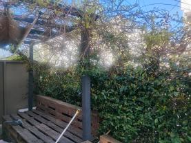 Location : taille haie Location : taille haie