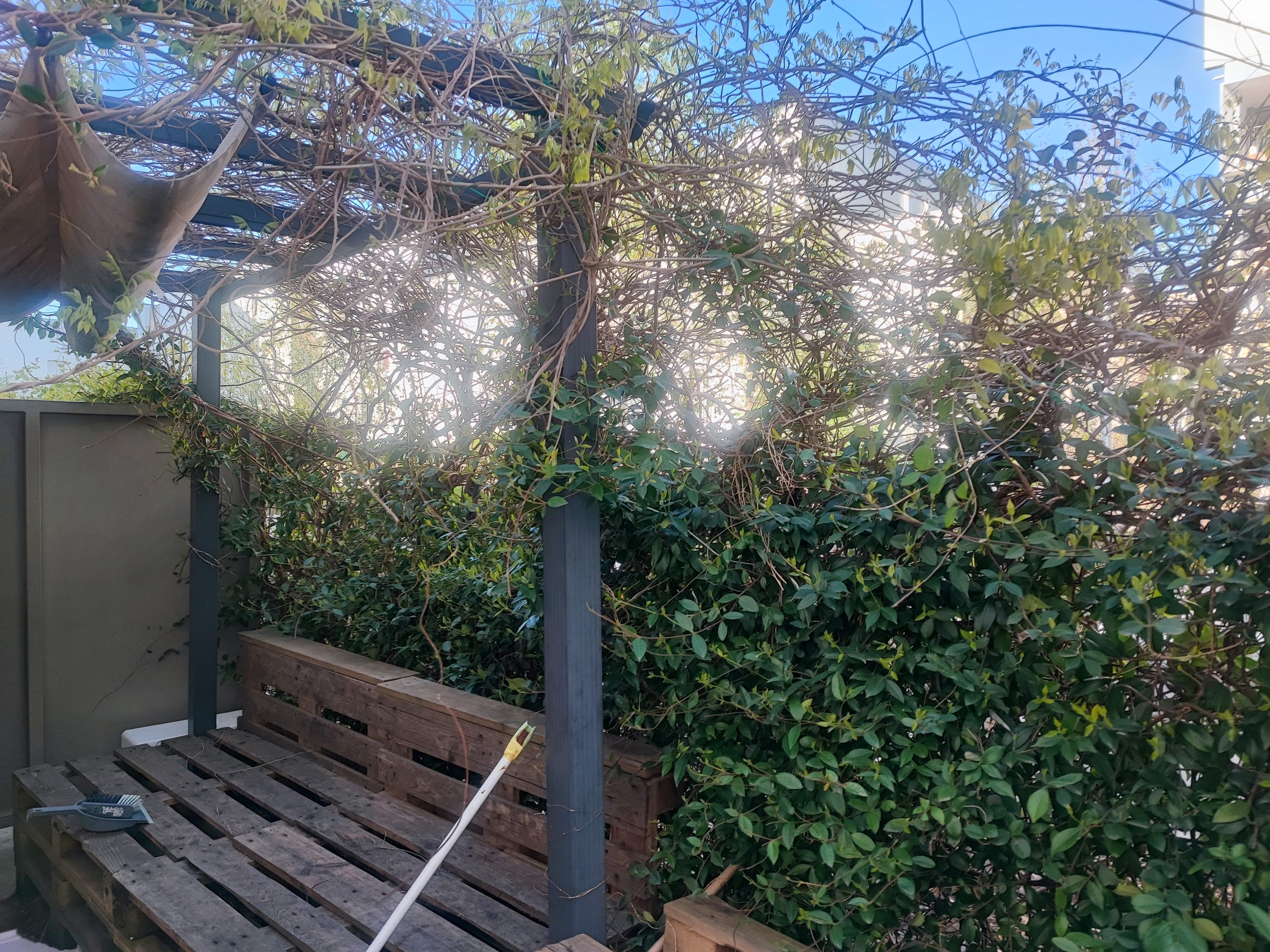 Location taille haie 33 entre particuliers
