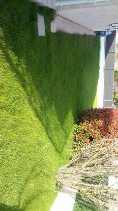 Service : tonte de pelouse Service : tonte de pelouse