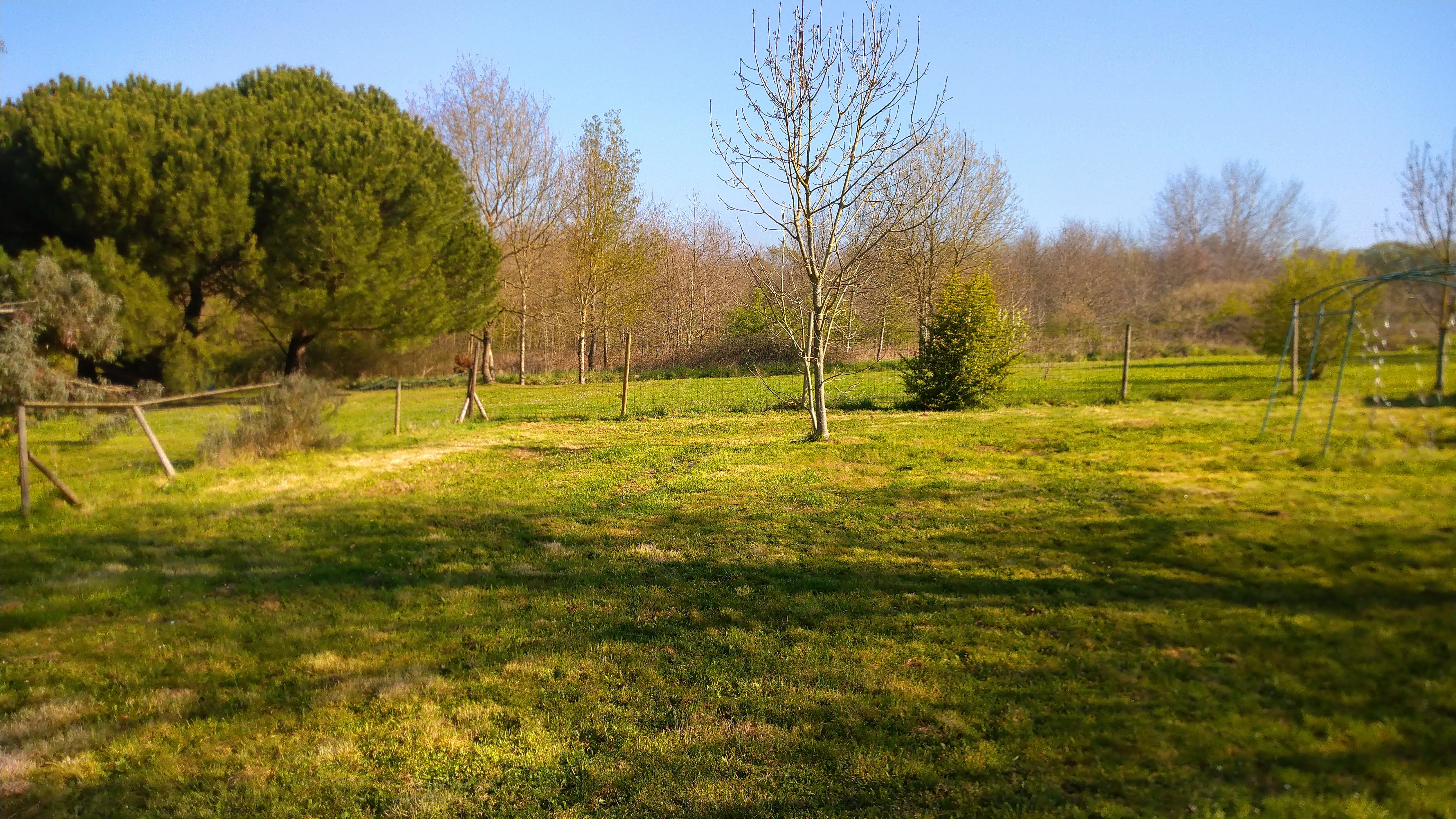 Service entretien jardin 44 entre particuliers