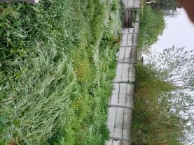 Location : tondeuse Location : tondeuse